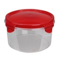Avon Protection 6 in. Resealable Sugar Storage Container with Attached Lid 33537554
